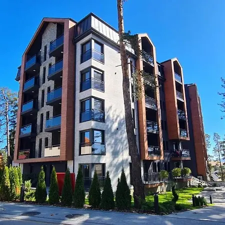 Sunny Forest 즐라티보