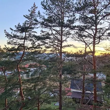 Sunny Forest * 즐라티보