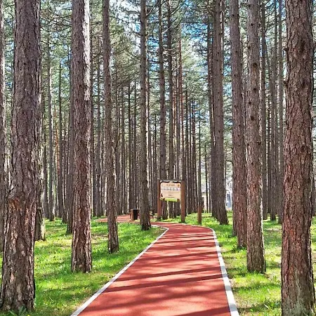 아파트 Sunny Forest *