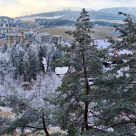 Sunny Forest Zlatibor