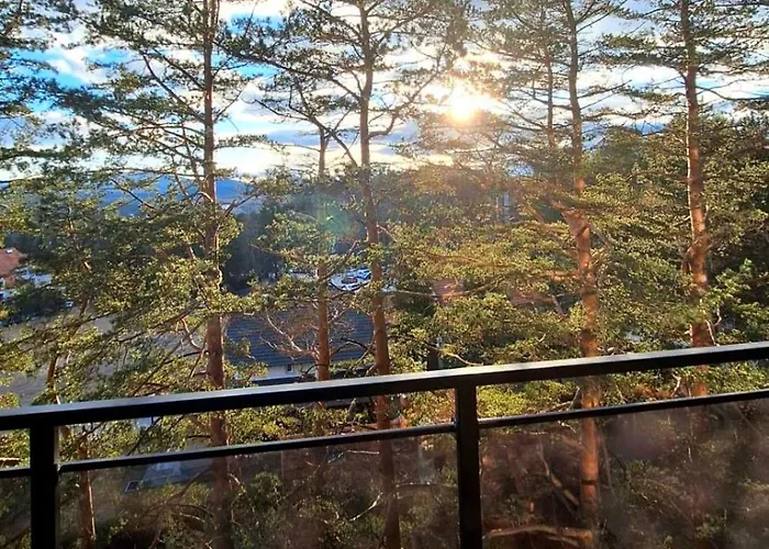 דירה Sunny Forest *