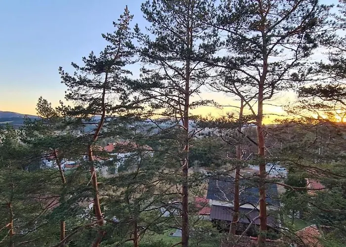 Sunny Forest * זלאטיבור