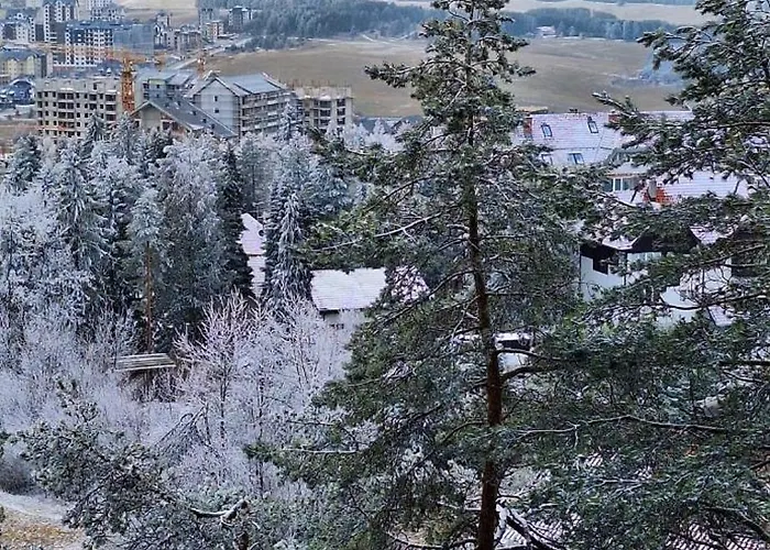 Sunny Forest Zlatibor